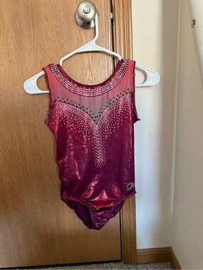Oklahoma Sooners Big 12 Gymnastics Leotard GK Adult Small Owned By Athlete